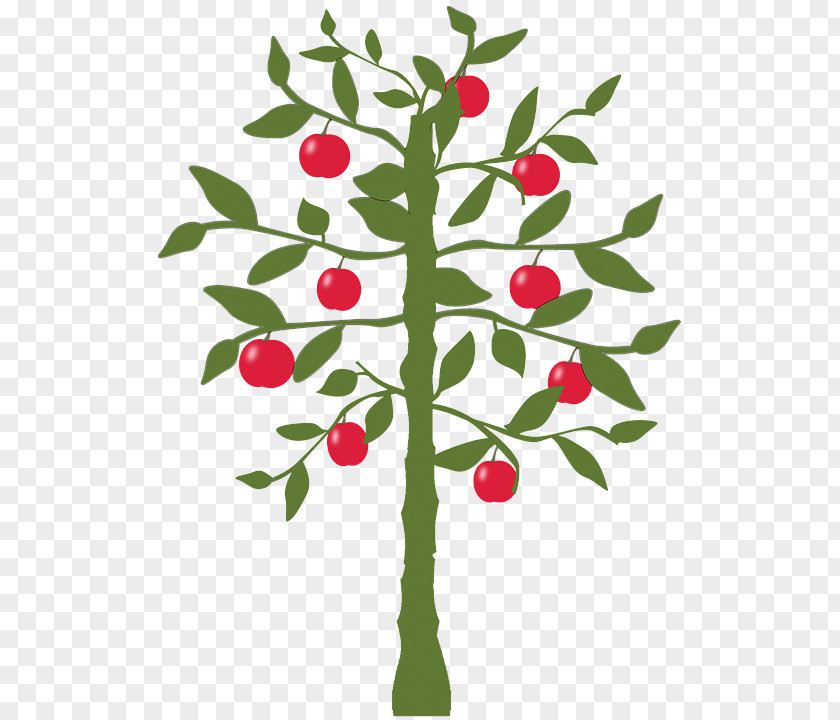 Lemon Fruit Tree Apple PNG