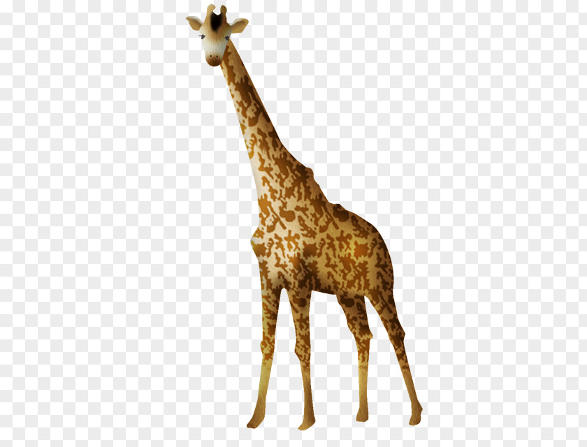 Animation Northern Giraffe Clip Art PNG