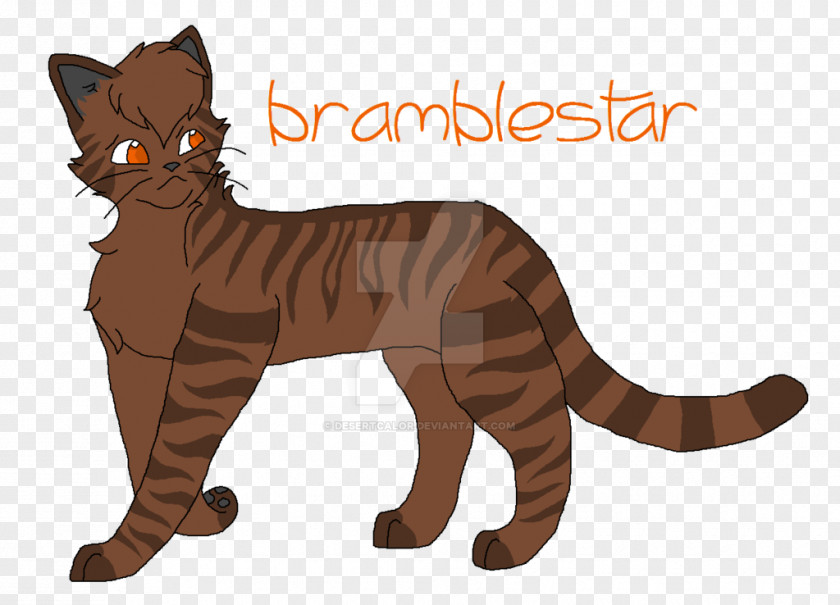 Cat Whiskers Digital Art Tigerstar PNG
