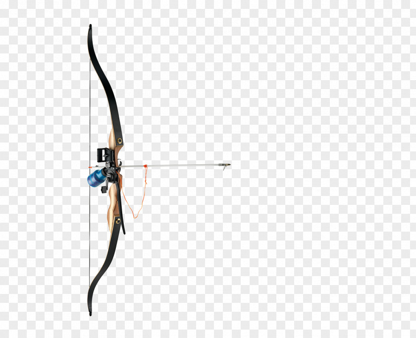 Compound Bows Bowfishing Target Archery Bow And Arrow Bowyer PNG