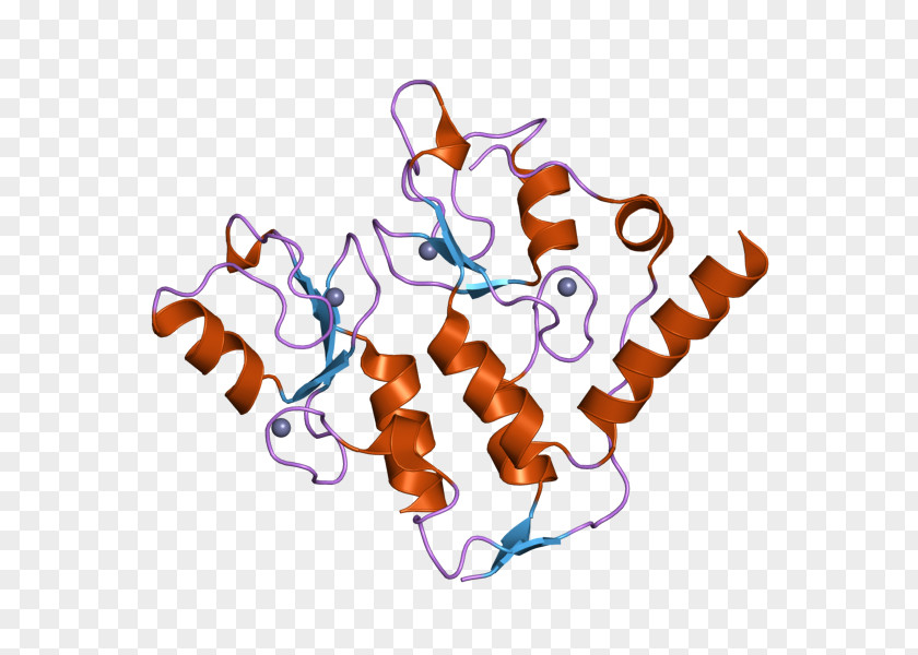 European Bioinformatics Institute Protein Clip Art Gene PNG