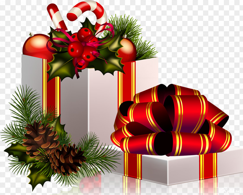 Holiday Collection Santa Claus Christmas Gift Clip Art PNG