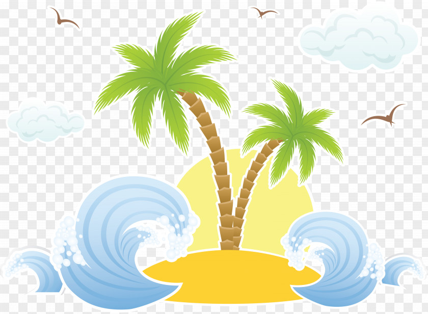 Plant Stem Tree Coconut Drawing PNG