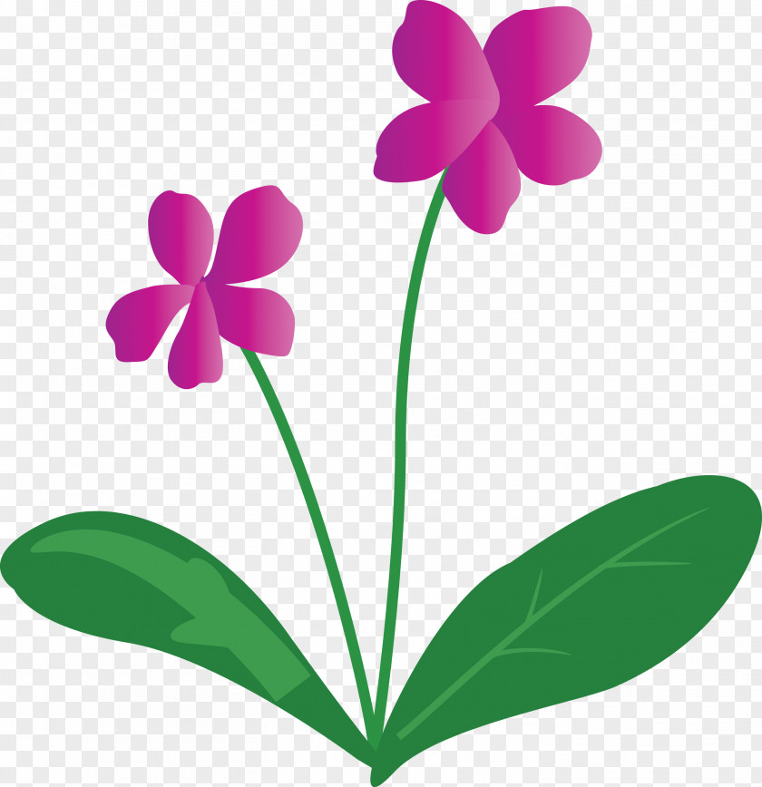 Violet Flower PNG