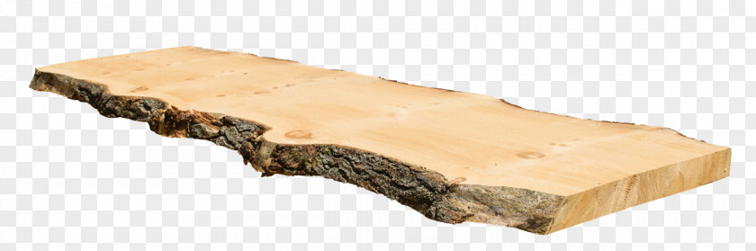 Wood Eastern White Pine Live Edge Tree PNG