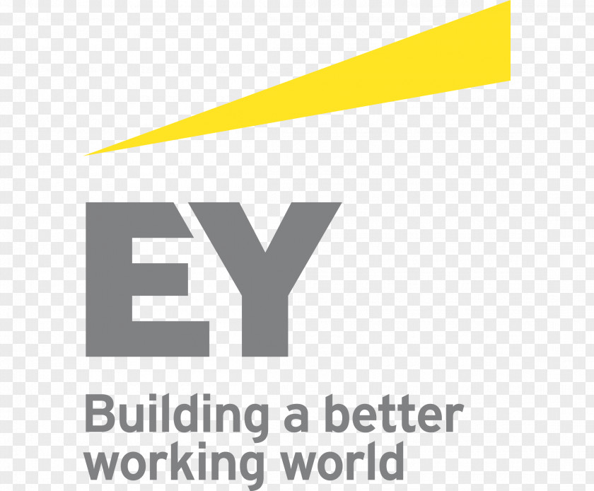 Ernst & Young Accounting Finance Accountant Company PNG