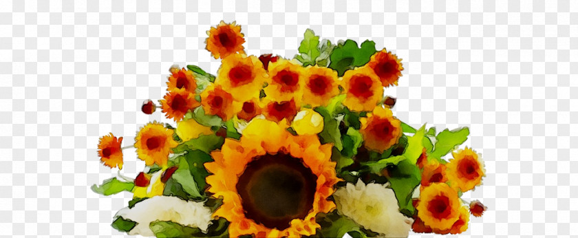 Floral Design Cut Flowers Flower Bouquet Transvaal Daisy PNG