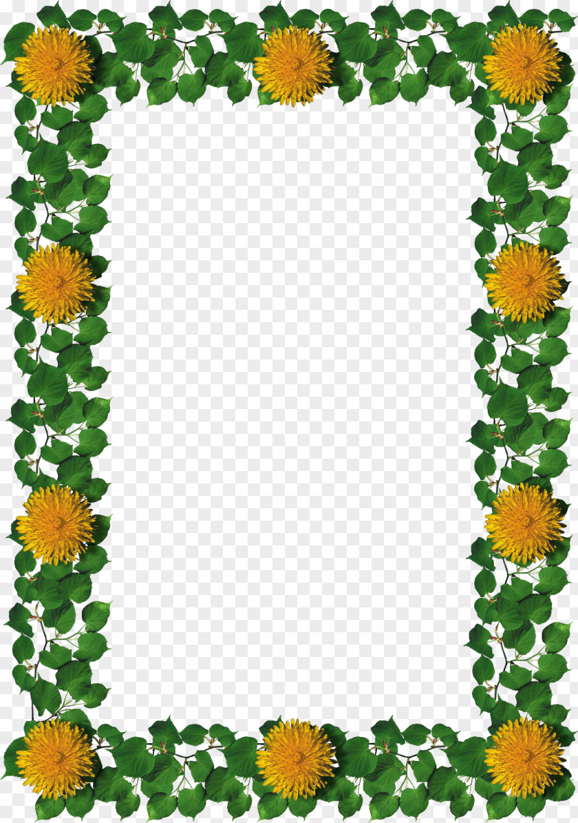 Leaves Border Picture Frames Leaf Clip Art PNG