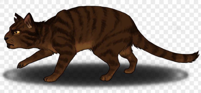 Cat Whiskers Tiger Tawnypelt Art PNG