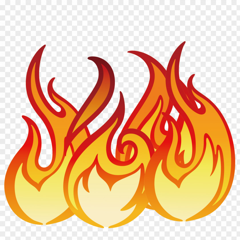 Fire Fireworks Flame PNG