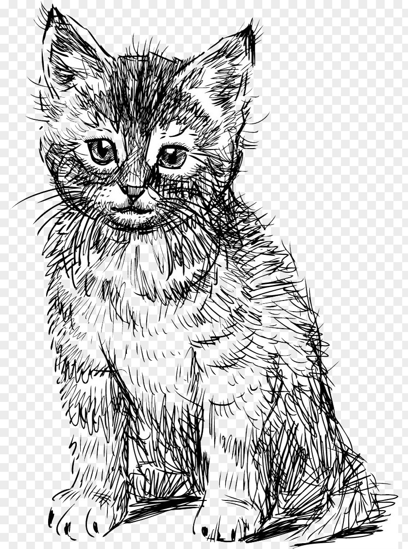 Hand Drawn Cute Cat Creative British Shorthair Abyssinian Kitten Drawing PNG
