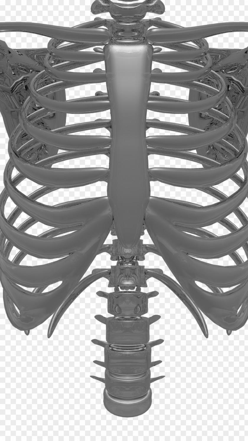 Mast Cell Activation Product Design Skeleton Black PNG