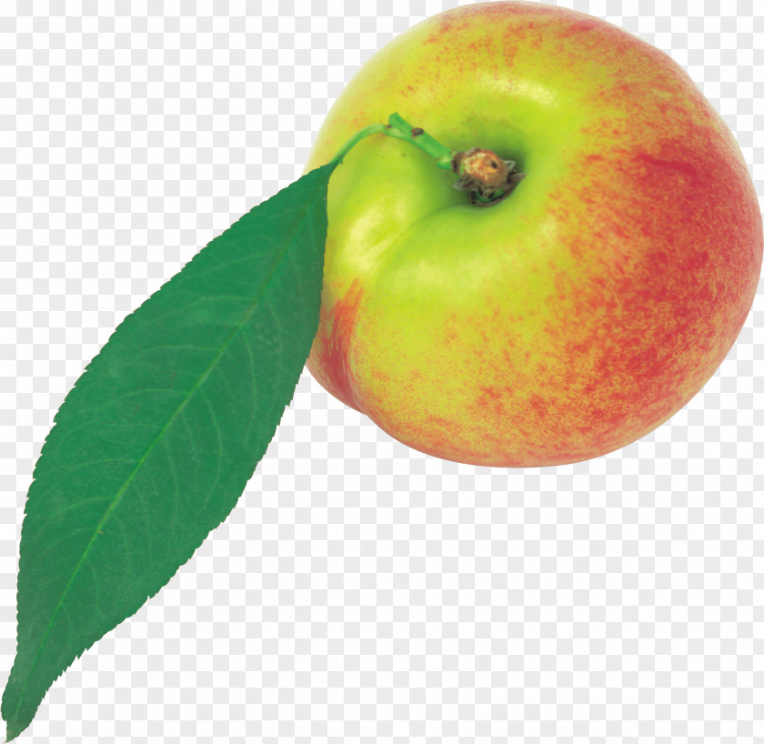 Peach Image Nectarine Fruit Icon PNG