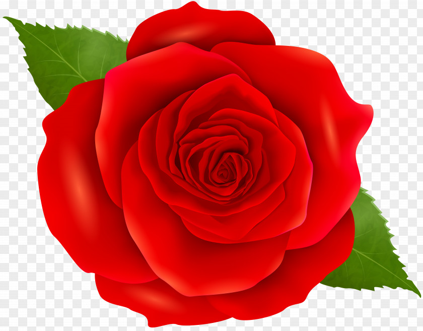 Red Rose Transparent Clip Art Icon PNG
