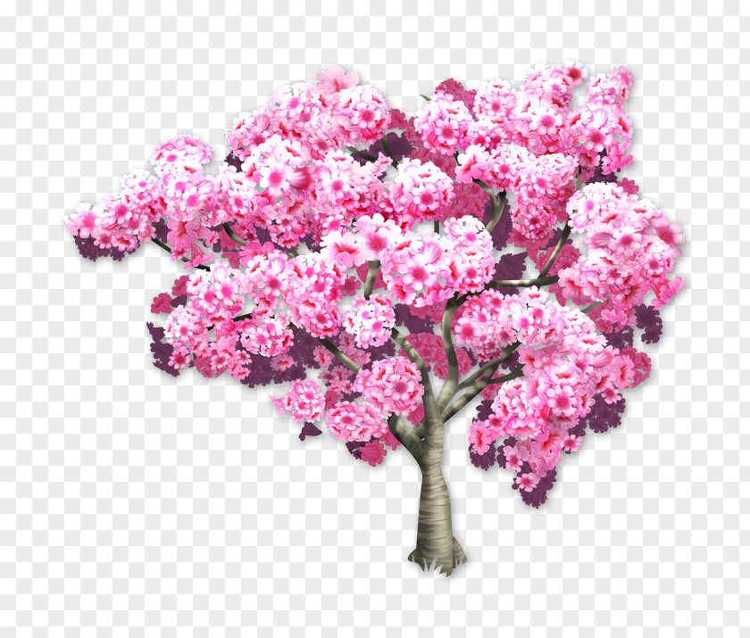 Sakura Tree Pink Trumpet Tabebuia Branch Wisteria PNG