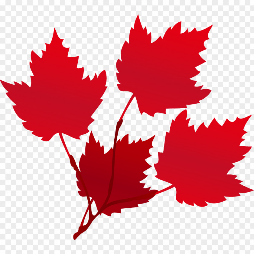 Vector Autumn Leaves Maple Leaf Red Euclidean Raster Graphics PNG