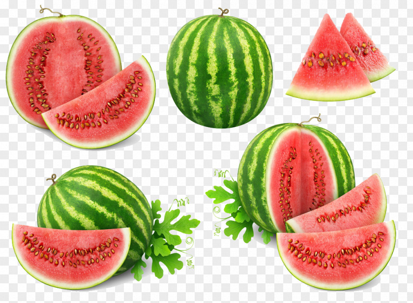 Watermelon Meat Slicer Cantaloupe Fruit PNG
