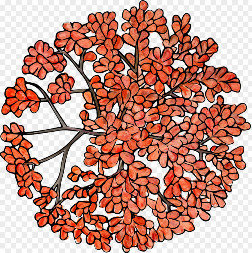 A Top View Of Hand-painted Tree PNG top view of a hand-painted tree clipart PNG