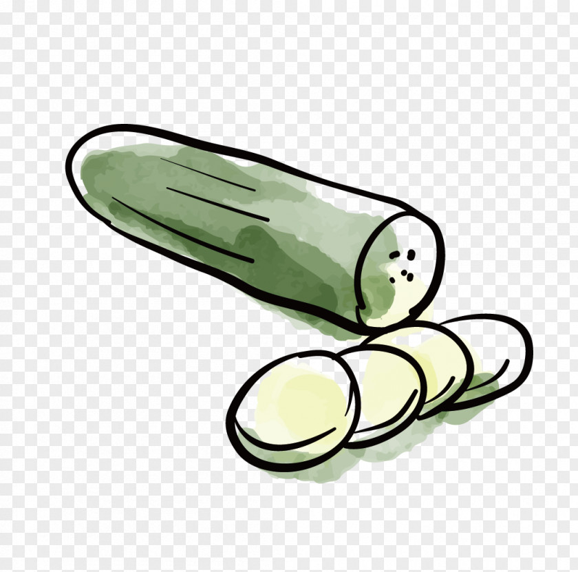 Cucumber Pickled Vegetable PNG