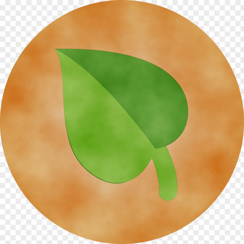 Green Leaf Plate Circle Plant PNG