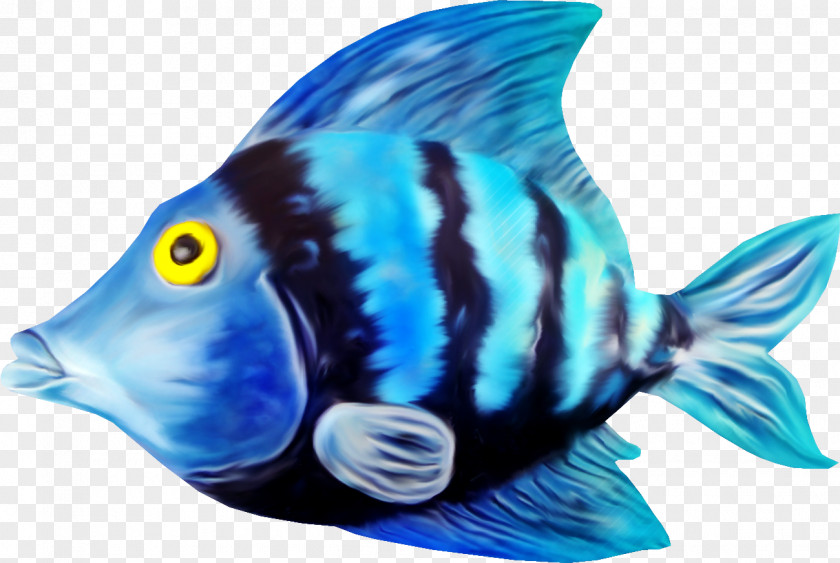 Hand-painted Decorative Creative Small Fresh Icon,Dream Fish Carassius Auratus Clip Art PNG