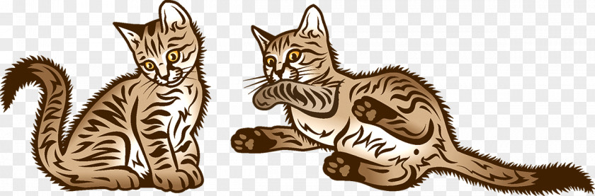 Kitten Tabby Cat Wildcat Whiskers PNG