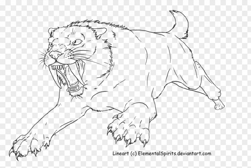 Lion Tiger Cheetah Whiskers Saber-toothed Cat PNG