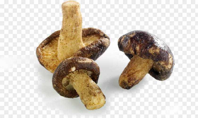 Mixed Nuts Shiitake Apéritif Cheese Matsutake Potato Chip PNG