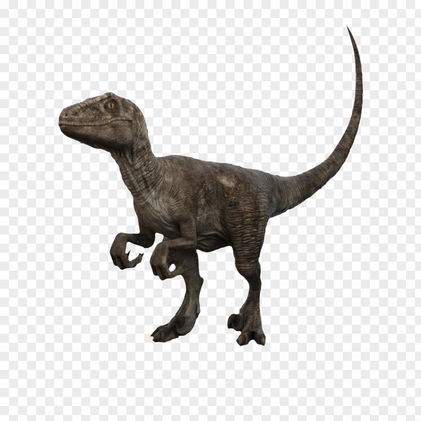3D Dinosaur Claws Velociraptor Tyrannosaurus Brachiosaurus Pteranodon PNG
