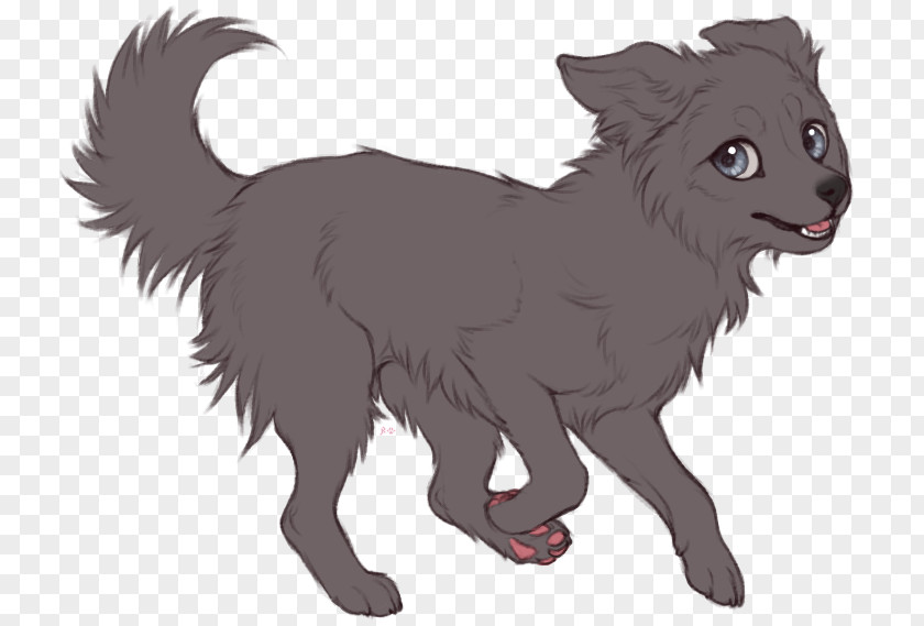 Psd Shading Border Collie Whiskers Rough Dog Breed Drawing PNG