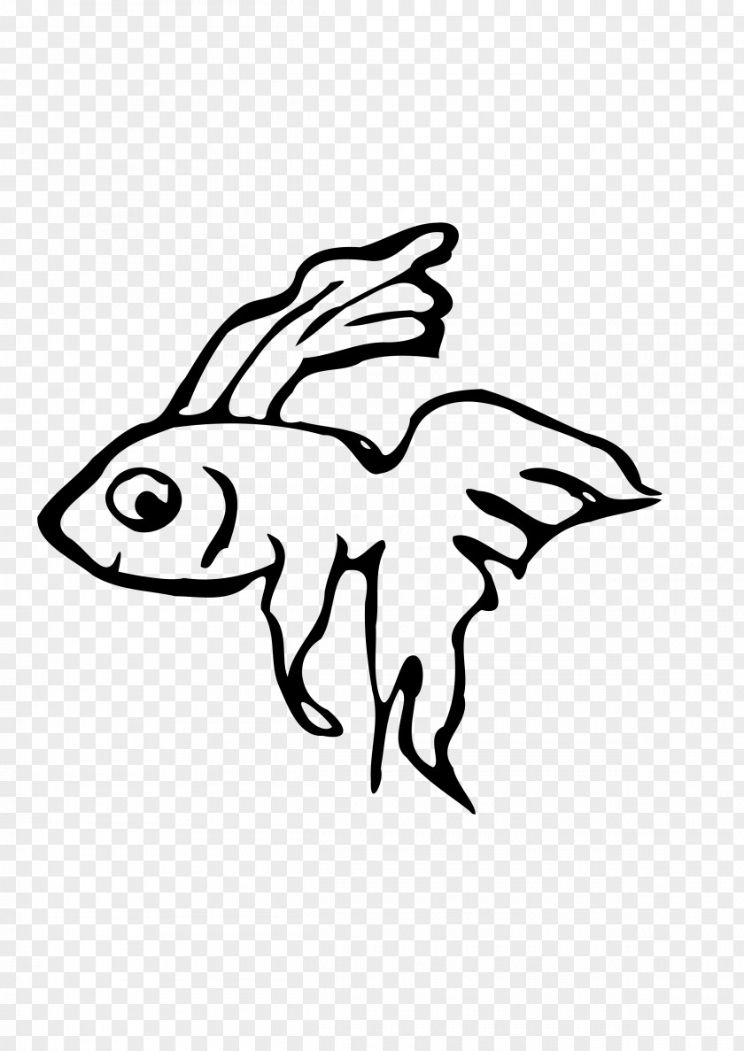 Betta Siamese Fighting Fish Drawing Clip Art PNG
