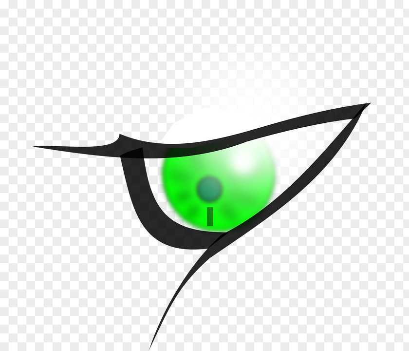 Eye Human Eyebrow Clip Art PNG