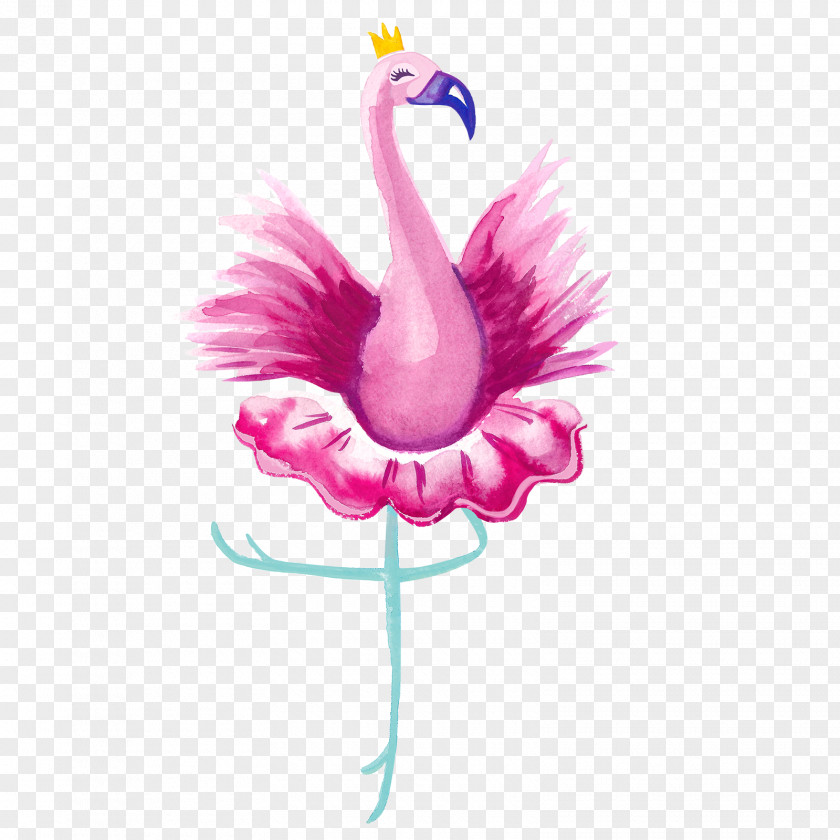 Feather Watercolor Vertebrate Ballet Dancer Bird Flamingo PNG