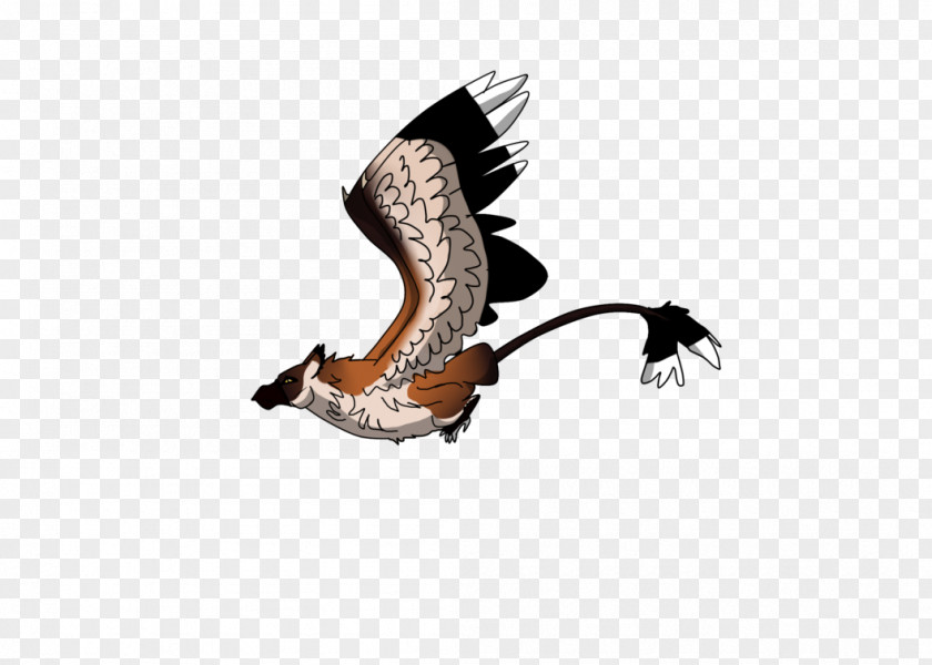 Flying Fox Shoe PNG
