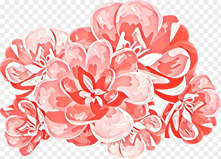 Peach Flowering Plant Floral Design PNG