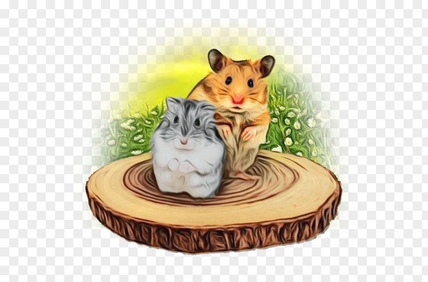 Beige Cat Hamster PNG