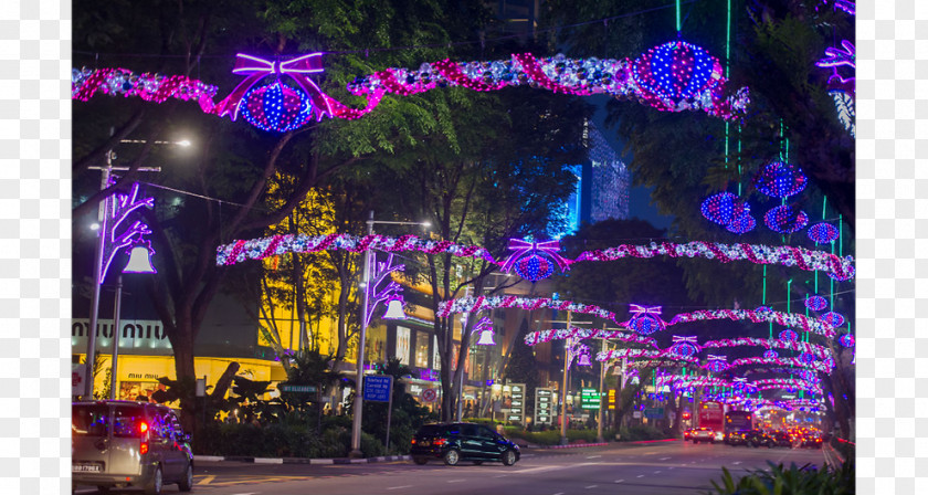 Christmas Lights Gift Purple PNG