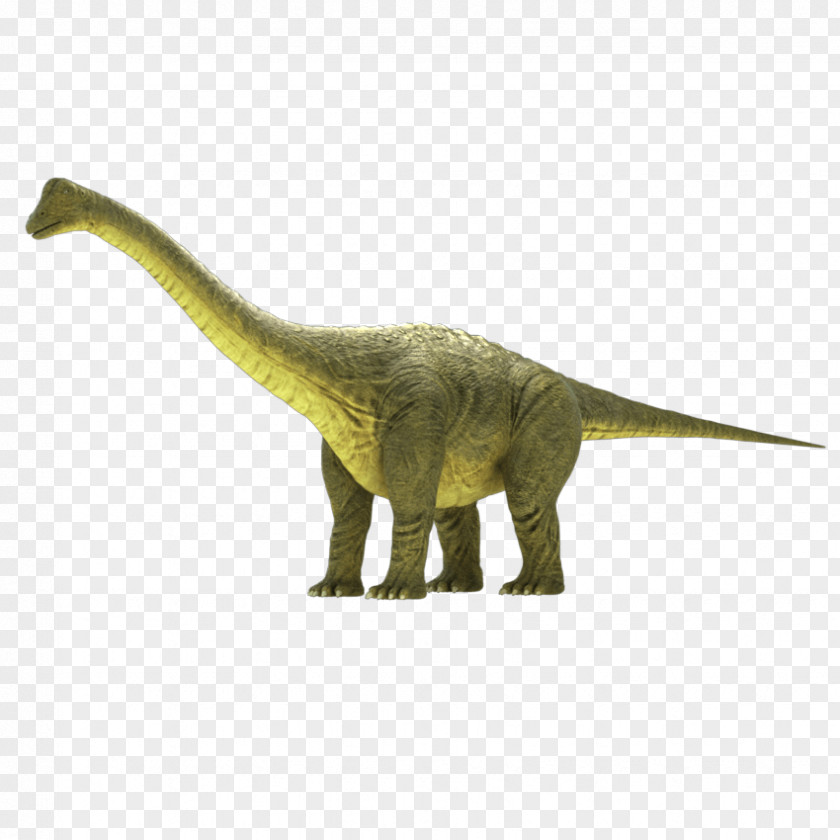 Dinosaur Brontosaurus Apatosaurus Brachiosaurus Camarasaurus Animated Film PNG