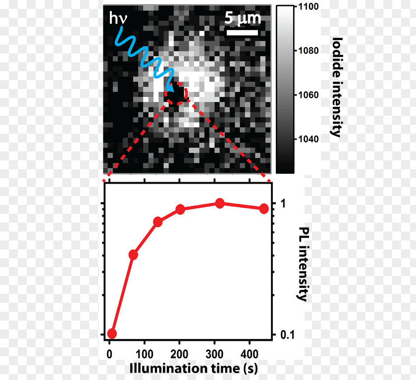 Migration Observatory At The University Of Oxford Perovskite Grain Boundary Diffusion Coefficient Microstructure Metal PNG