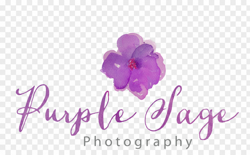 Purple Grape Logo Sage Photography Portrait PNG