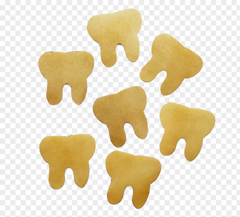 Tooth Snack Watercolor Animal PNG