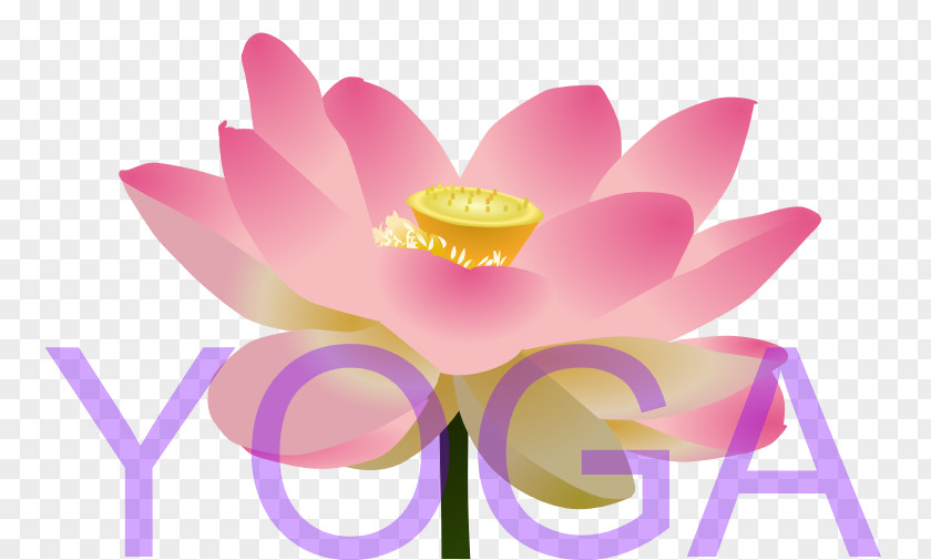 Yoga LOTUS Lotus Cars Clip Art PNG