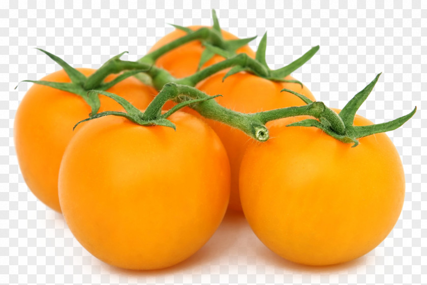 A Bunch Of Tomato Tigerella Cherry Hillbilly Pear Orange PNG