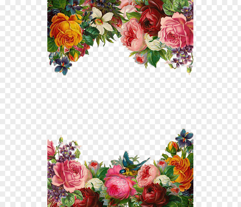 Beautiful Flowers Border Flower Pixabay Clip Art PNG