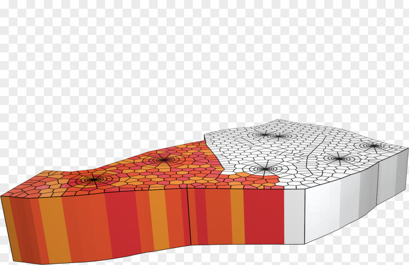 Design Shoe PNG