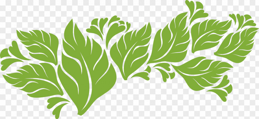 MOTIF Leaf Vegetable Plant Stem Science Wallpaper PNG