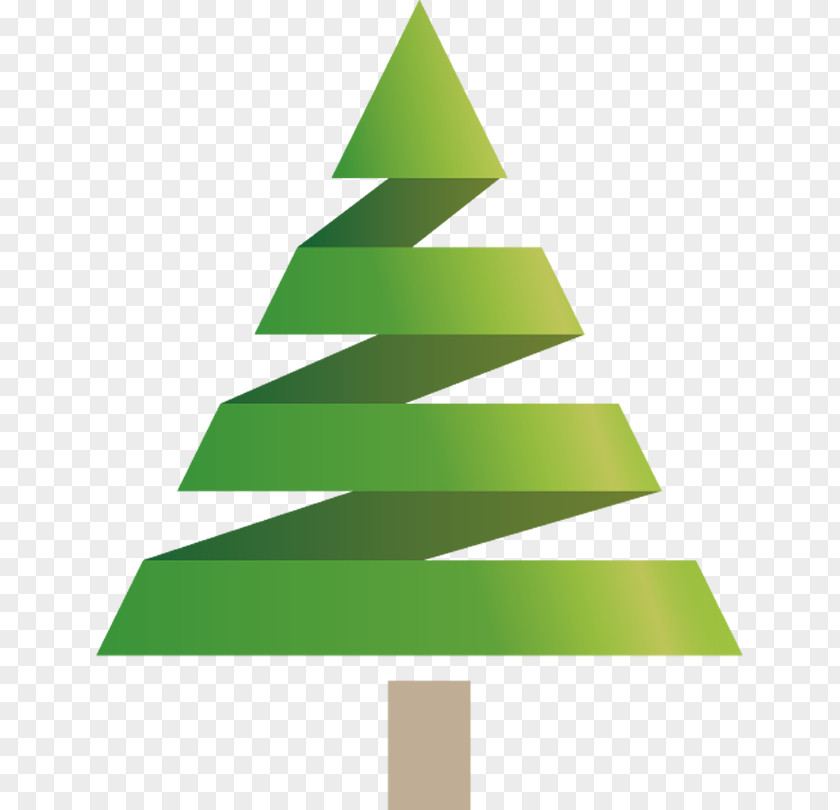 Pine Family Oregon Christmas Tree PNG