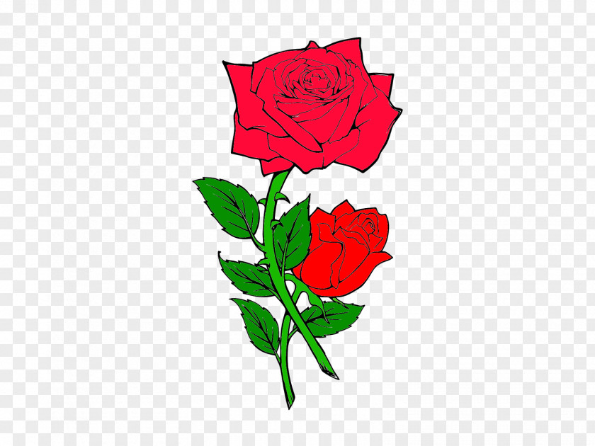 Rose Garden Roses Floral Design Cut Flowers PNG