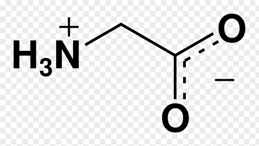 Zwitterion Glycine Receptor Amino Acid NMDA PNG