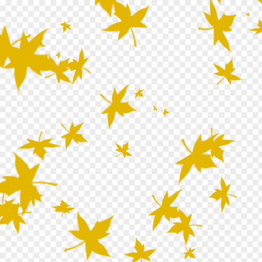 Autumn Falling Maple Leaves Leaf PNG